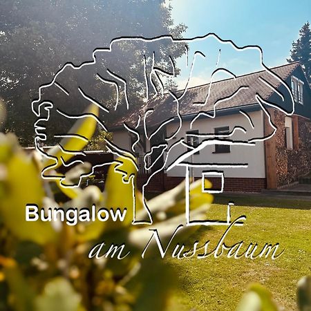 Bungalow Am Nussbaum Olbersdorf Exterior photo